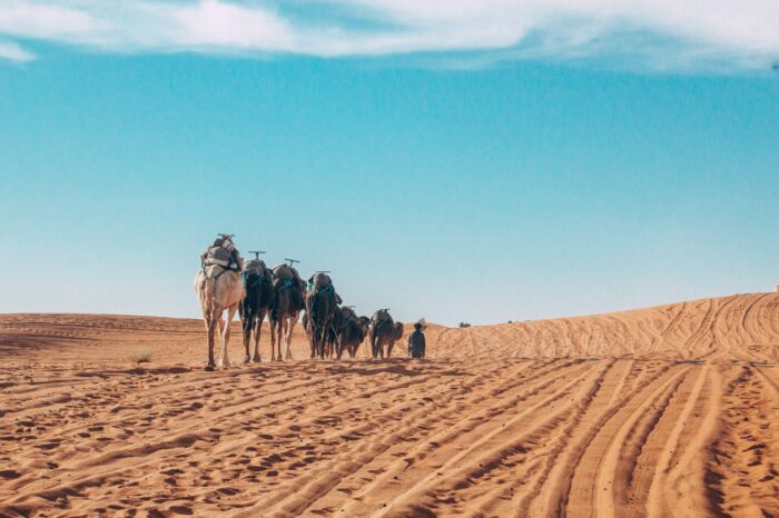 Morocco Coast to Desert Adventure – 12 Days