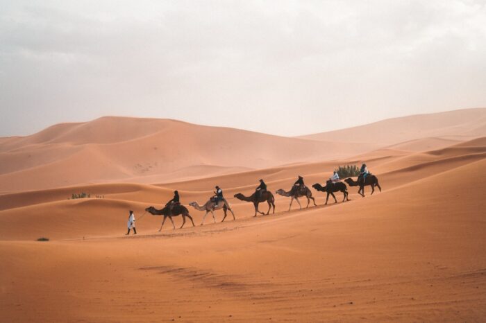 Morocco’s Imperial Cities and the Sahara Desert – 13 days